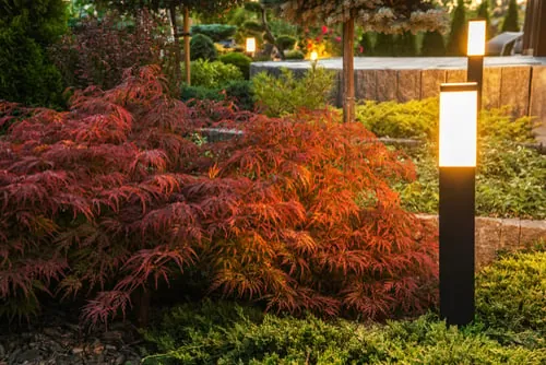 7 Landscape Lighting Ideas to Transform Your Yard