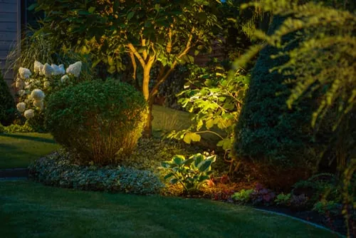 Landscape & Outdoor Lighting